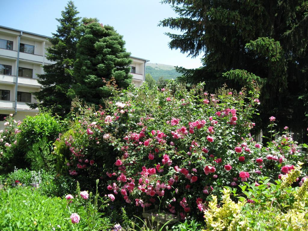 Villa Jordan Ohrid Kültér fotó