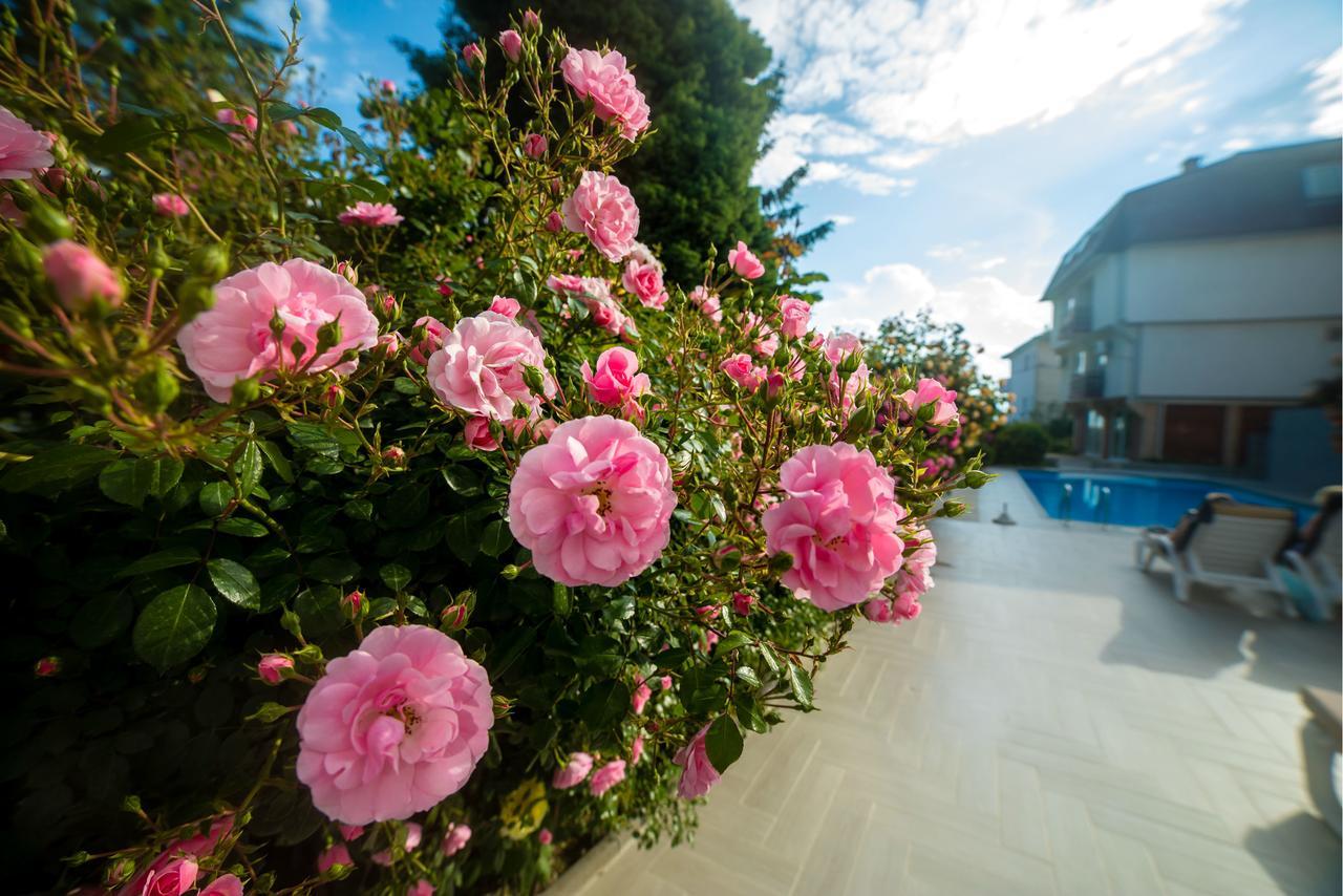 Villa Jordan Ohrid Kültér fotó